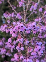 PXL_20230225_232734368.jpg